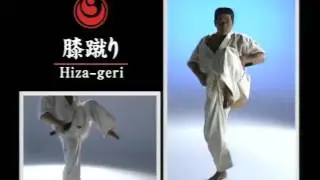 Hiza geri - Хидза гэри