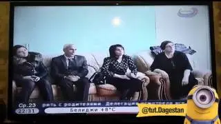 Сюжет о приюте 