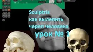 Sculptris - как слепить череп человека урок № 1