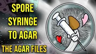 Spore Syringe to Agar - The Agar Files