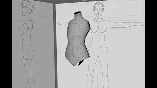 Autodesk Maya 2019 Woman Torso