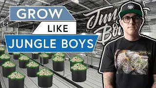 How to Grow Like The Jungle Boys [Athena Nutrients Review]