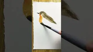 Robin #bird #watercolor #beginner #artist