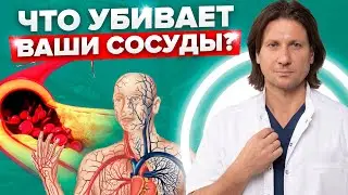 Вредные и полезные продукты для здоровья сосудов. Как укрепить сосуды?