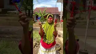 ADU LATO LATO VIRAL 