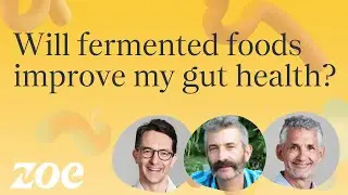 Will fermented foods improve my gut health? | Sandor Katz and Professor Tim Spector