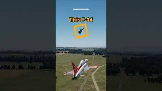 F-5 Surprises F-14 Tomcat 