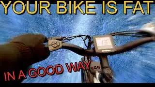 Why Fat Tire Bikes Are Gaining Serious Momentum! (Himiway Step Thru Cruiser Review)