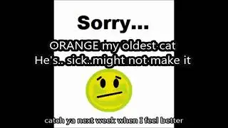 Orange Sick Notice