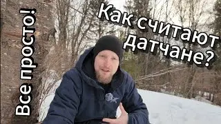 Как считать по-датски? Норвежец отвечает