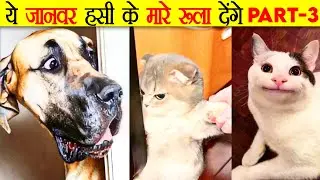 ये जानवर आपको हसी के मारे रूला देंगे | Animals Funny Moments Part - 3 | #shorts