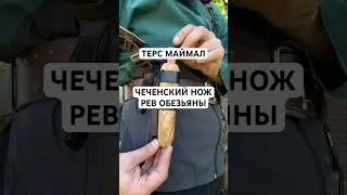 МИНИ ТЕРС МАЙМАЛ РЕВ ОБЕЗЬЯНЫ