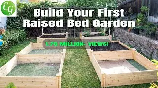 Raised Bed Gardening 101: A Comprehensive Guide to Starting Your Garden