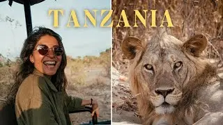 Safari of a Lifetime | Tanzania Cinematic Documentary