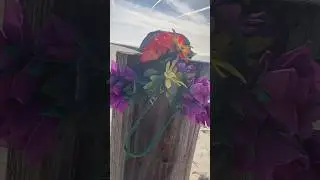 Herring Fishing PRETTY Fake Flowers #bouquet #flower #fishing #herring #beach #sky #flowers #shorts