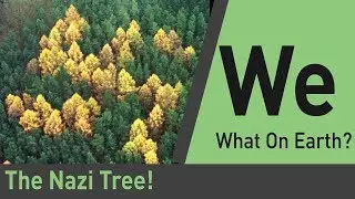 Mysterious Nazi Tree Found After 60 years! | What on Earth