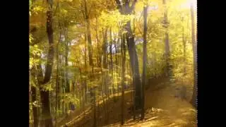 Autumn Is Coming - Relaxation Music