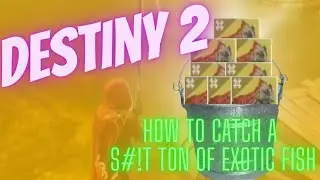 #destiny2 how to catch EXOTIC fish everytime, No Cap!!!