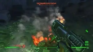 Fallout 4  гнилая свалка