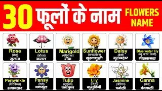 30 फूलों के नाम हिंदी और इंग्लिश में | 30 flowers name in english and hindi