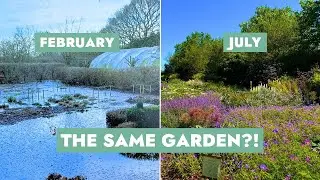 Breezy Knees: This garden bounced back from 8 weeks underwater!