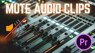 How To Mute Audio Clips in Premiere Pro 2024 | Premiere Pro Tutorials