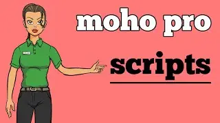 anime studio (moho) Important scripts - animate courses