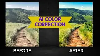 How to Color Grade Your Photos with AI