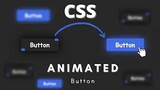 How to make CSS Animated Button Hover Effect using HTML & CSS | CSS Button Hover Animation