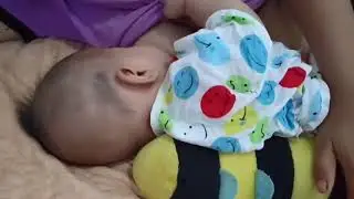 segarnya susu ibu