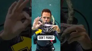 Scuba mask fell off? Don’t panic, do this!