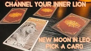 ✨ Channel Your Inner LION Pick A Card 🦁  Gentle Guidance for the New Moon in Leo ft @kloeetaylor  ✨