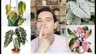 Plants I DON'T Like