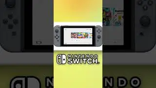 Do People ACTUALLY Use The Basic White Nintendo Switch Theme?