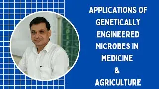 Applications of genetically engineered microbes in Medicine and Agriculture