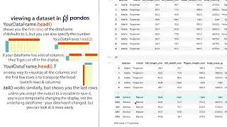 pandas tips for getting a quick overview of a dataframe (head, head.T(), info, describe, etc.)