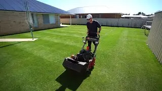 Im Back To Mowing My Lawn At 15mm (0.59) //Bentgrass Seed Update