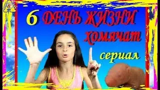 сериал. ШЕСТОЙ ДЕНЬ жизни ХОМЯЧАТ / хомяк / КАК УХАЖИВАТЬ за Хомяком / how to care for baby hamster