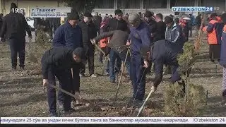 Акция по посадке саженцев в столице и областях