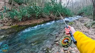 My Biggest Brook Trout of the Year! (Fly Fishing for brown, brook, and rainbow trout)