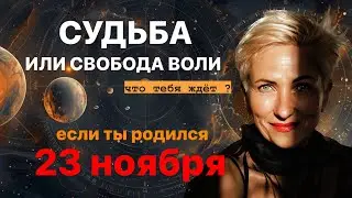 матрица судьбы. о чем говорит дата рождения 23 ноября. цель и ресурсы для ее достижения.