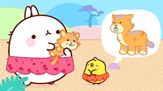 Molang 🐹 NUEVO 🐯 EL GATITO DIENTE DE SABLE 🔥 Super Toons TV Dibujos Animados en Español