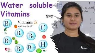 Water Soluble Vitamins | Sources | Functions | Deficiency | Vitamin B Group | Vitamin C