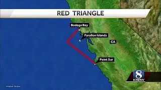 What is the 'Red Triangle' and how common are Central Coast shark attacks?