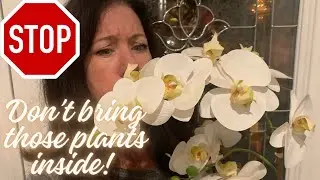 Don't Bring Those Plants Inside!!