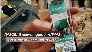 ПАЗОВАЯ прямая фреза АЛМАЗ, тестируем новую фрезу, выравнивание спила старого ДУБА