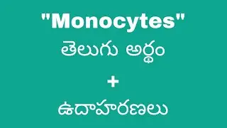 Monocytes meaning in telugu with examples | Monocytes తెలుగు లో అర్థం @Meaning in Telugu