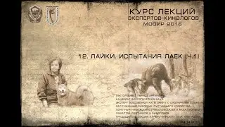 Лекция 12. Лайки. Испытания лаек. (Курсы экспертов-кинологов МООиР 2016)