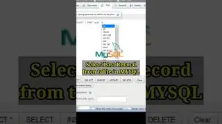 Select last record in mysql | #shorts #ytshorts #youtubeshorts #mysql_workbench