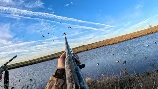 Big Mallard Flocks on Pond (Limited Out) Duck Hunting 2024